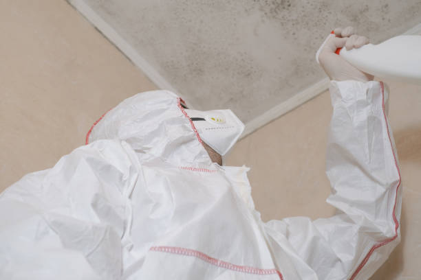 Trusted Grosse Pointe Park, MI Mold Remediation Experts